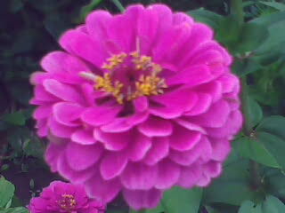 Оксана Садовая