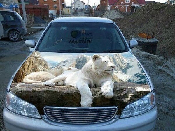 Алексей Царегородцев