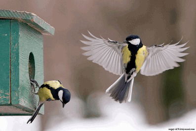 Валентина Гицба