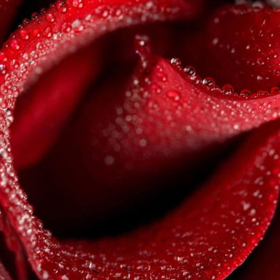 Татьяна Назарьева