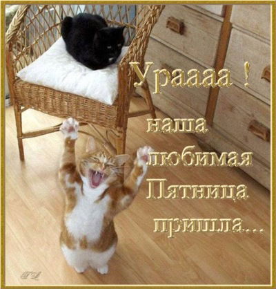 Евгений Халявин