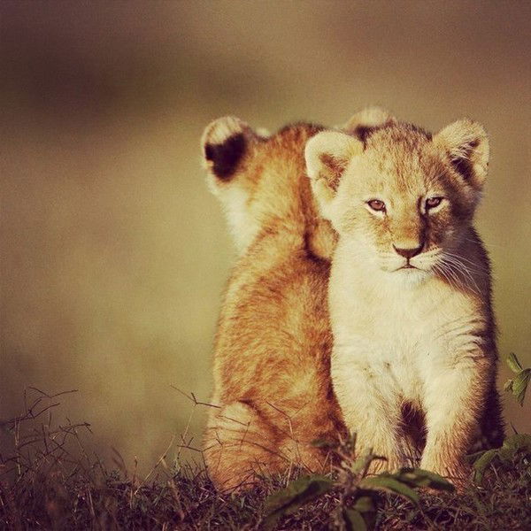 Ситора Юсупова