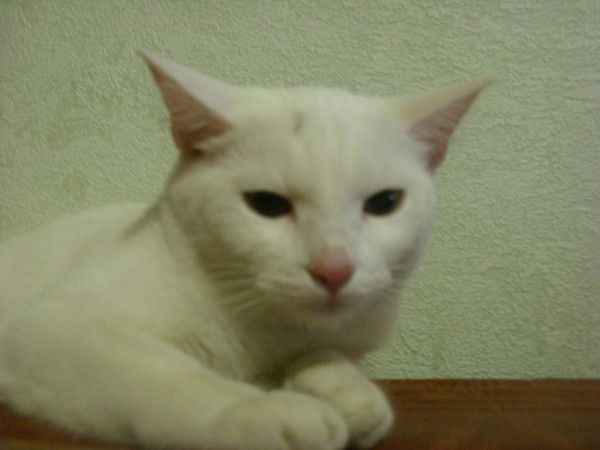 Галина Круглова