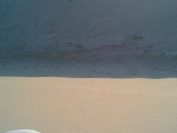 Торгын Жанузакова