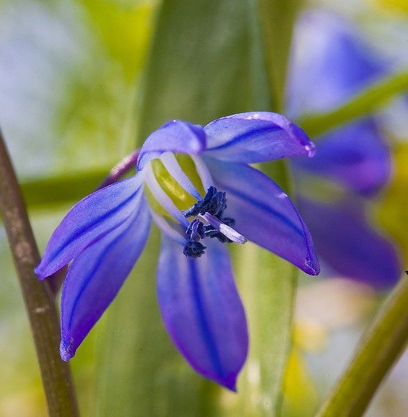 Жанна Сотник