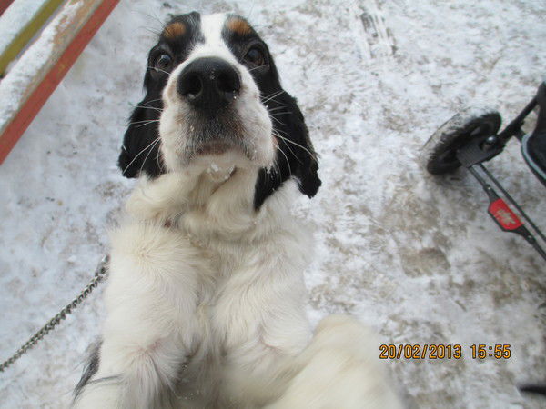 Николай Кузнецов