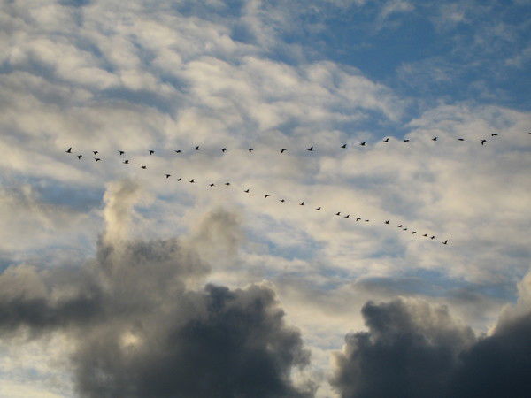 Павел Шугай