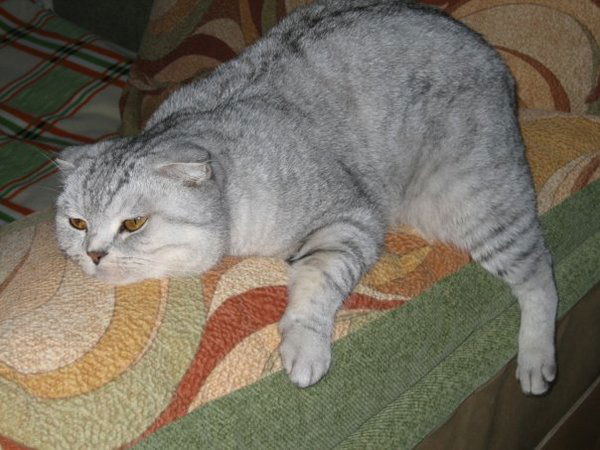 Leonid Pereyaslavets