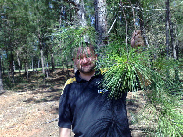 Евгений Петров