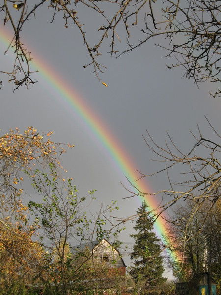 Серёжа Присяжнюк