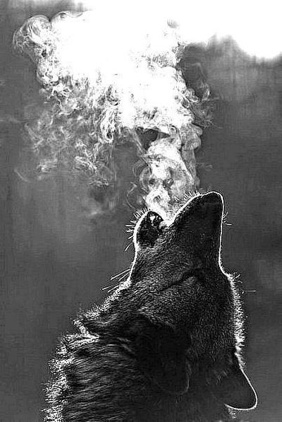 Антон Таиркин