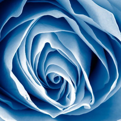 Настя Бородавко