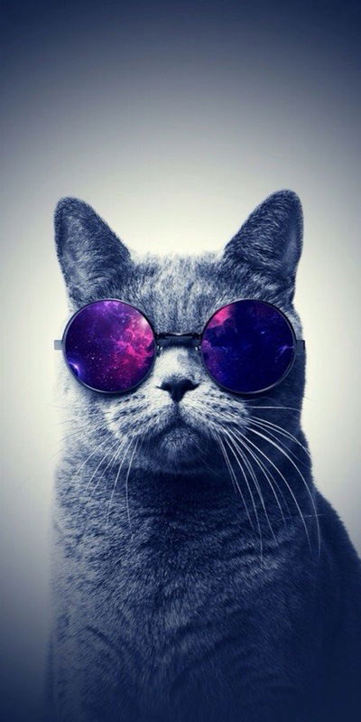 Настя Великанова