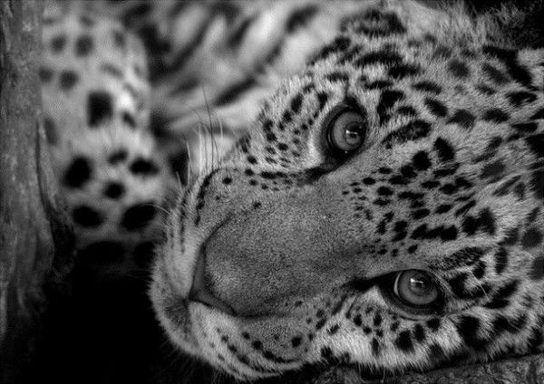 Марина Батраева