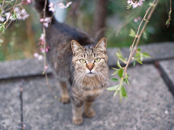 Екатерина Соловьева