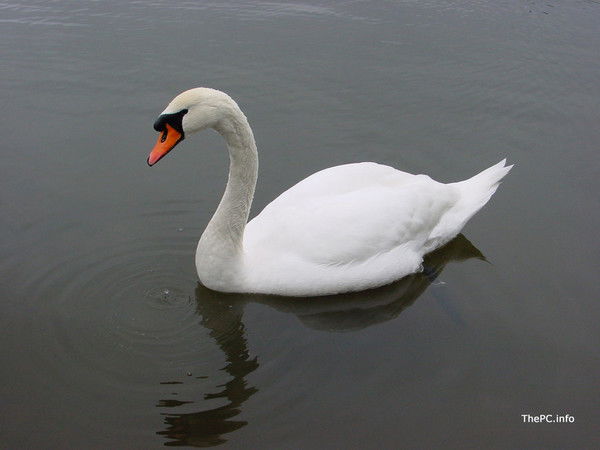 Татьяна *****