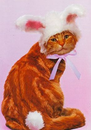 Алена Шумилова