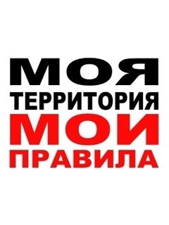 Ты Моя Тема