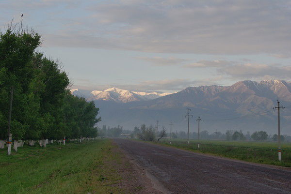Ольга Сартакова