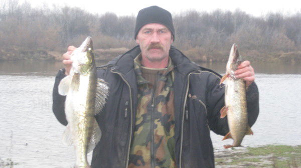 Александр Кротиков