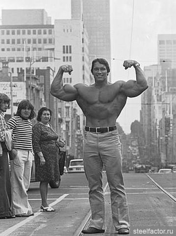 Александр Раймиш