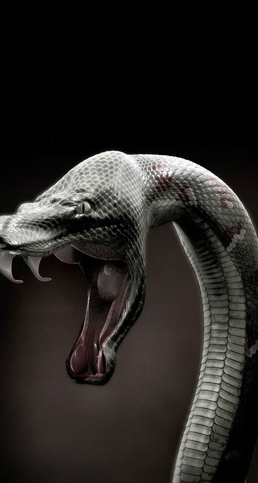 Дмитрий Прилепин