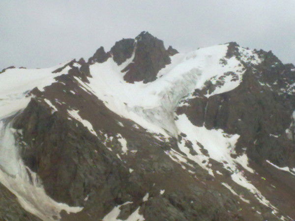 Алия Хасенова