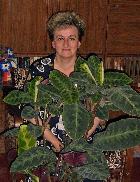 Валентина Лобазова