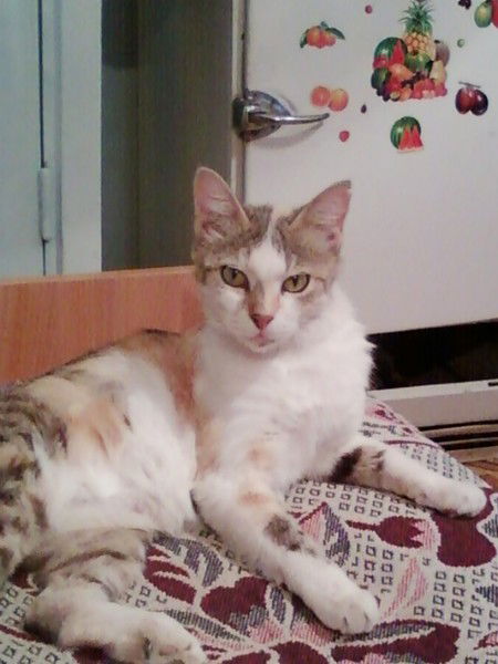 Людмила Иващенко)