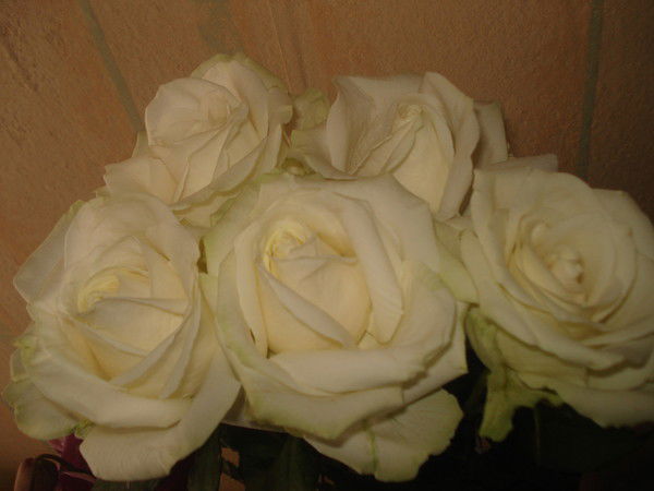 Julia Pavliukoviciene