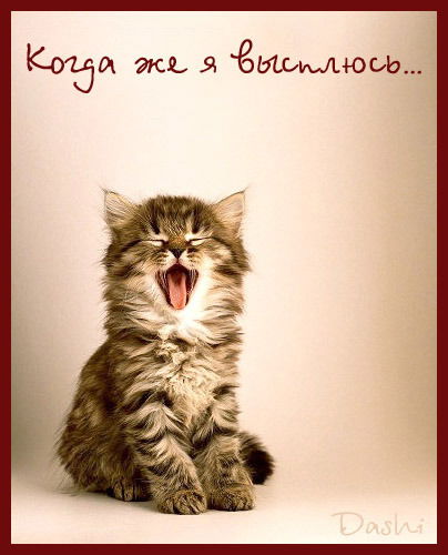 Айгерим Каримжанова