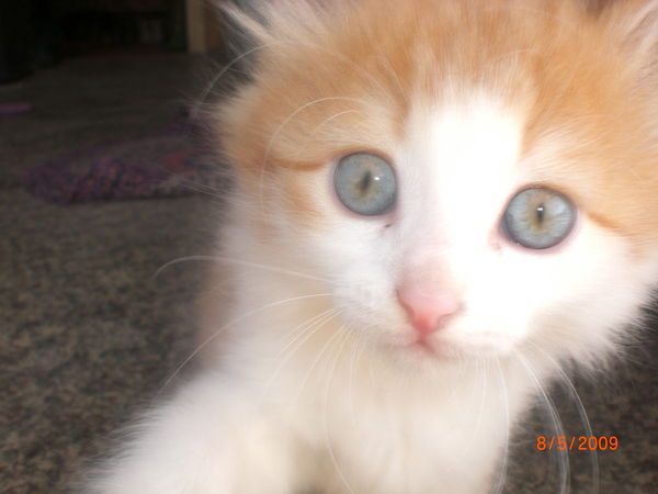 Сергей Чердаклиев