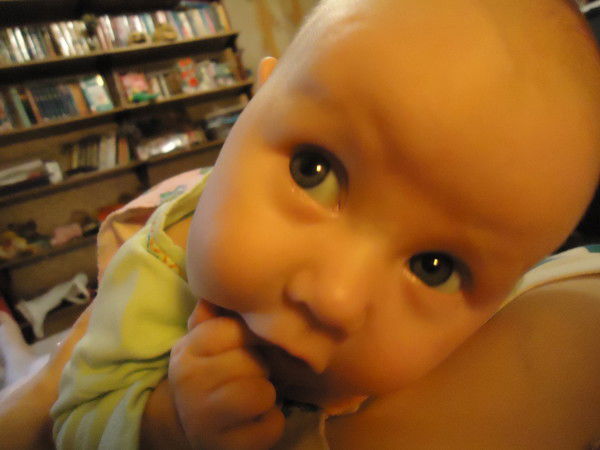 Таня Шахова