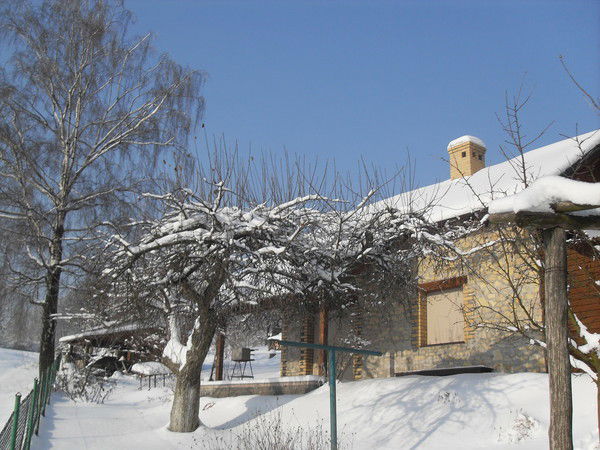 Богдан Новак