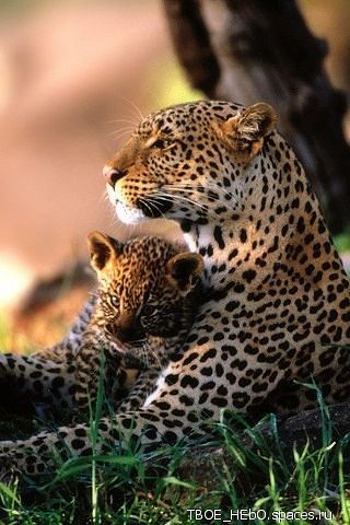 Ирина Нефедова