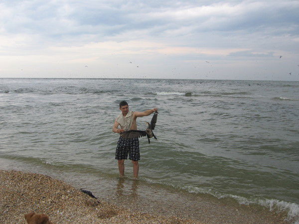 Сергей Быстров