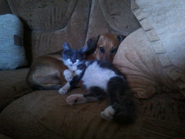 Оксана Тарасова