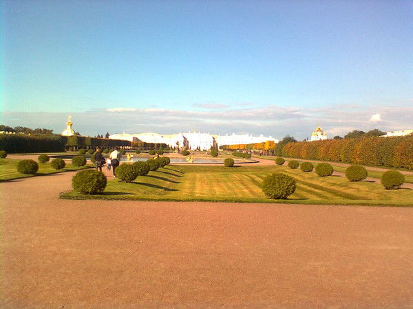 Алиев Шерзод