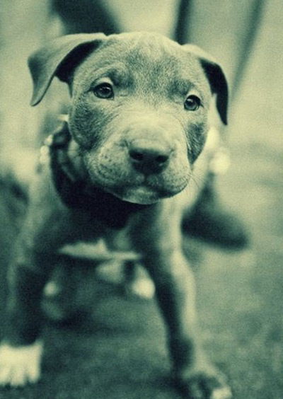 Елена Васильева