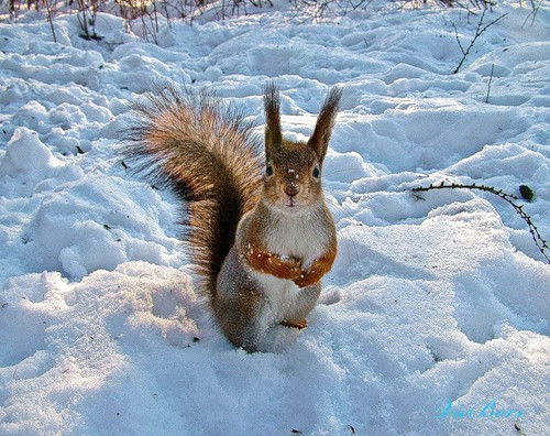Екатерина Скоромная