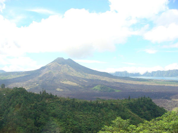 Снежана Винокурова