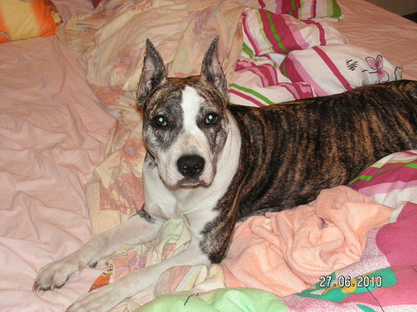 Елена Трушкова