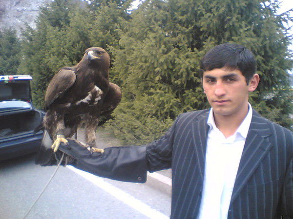 Самир Мамедов