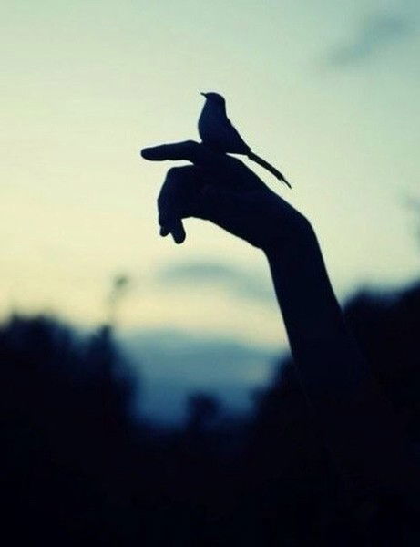 Светлана Медведева