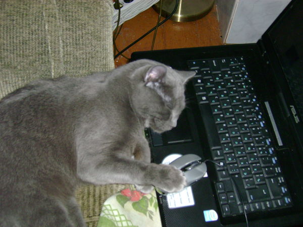 Виктор Возняков