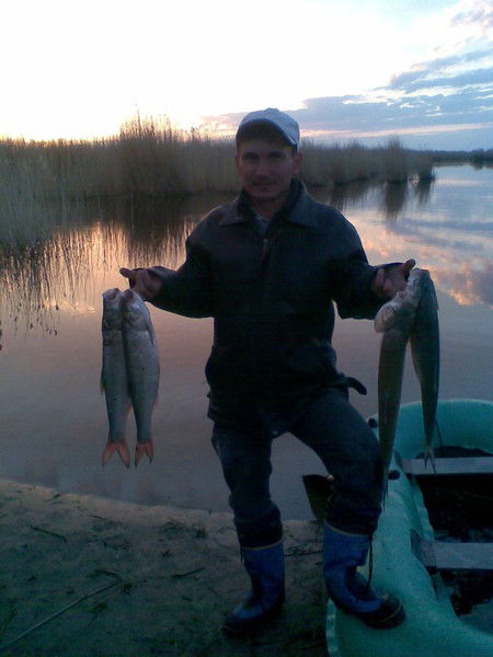 Василий Серый