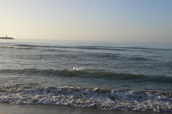 Владимир Манухов