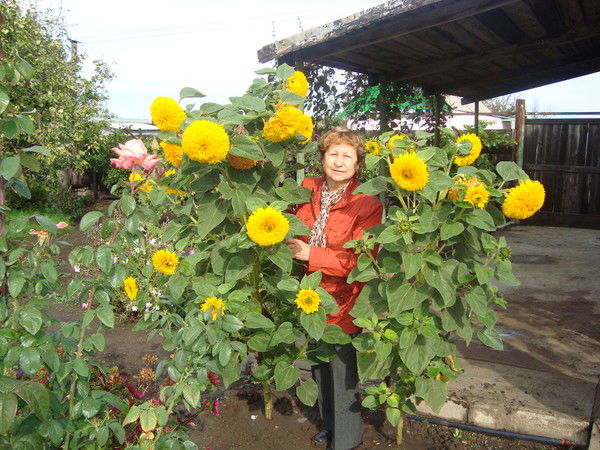 Надиля Бородина