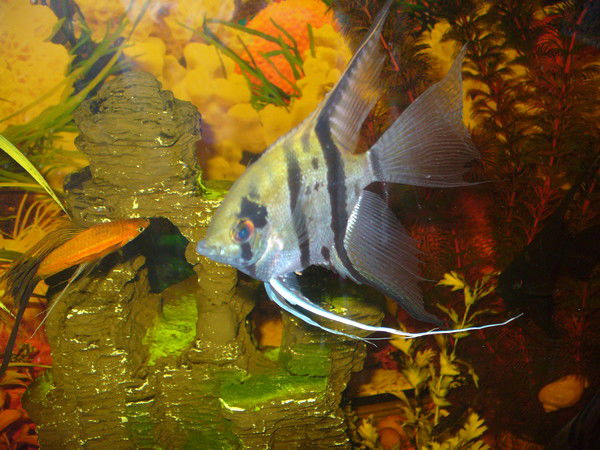 Оксана Карпук