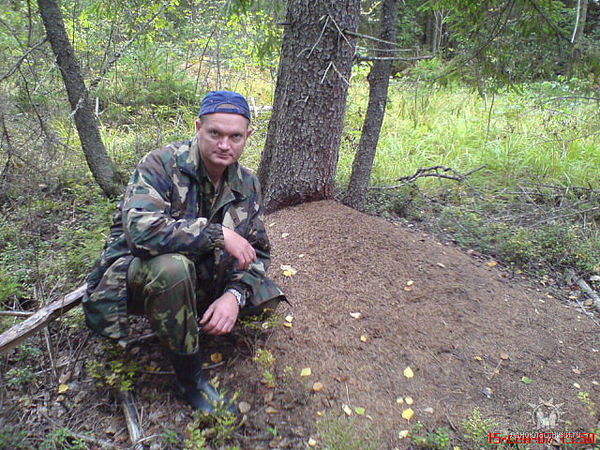 Денис Кожушный